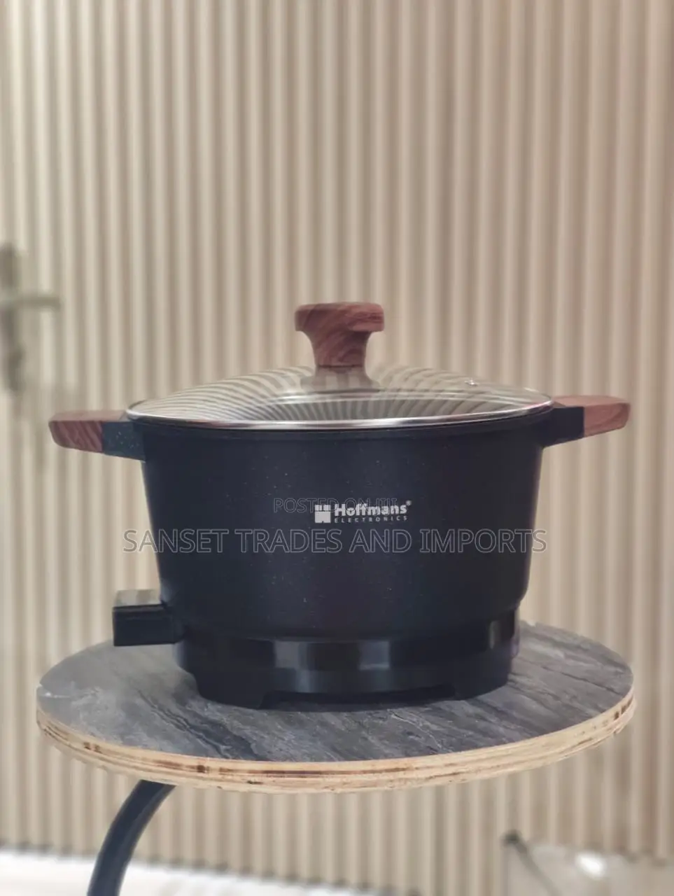 Electric Cooking Pot