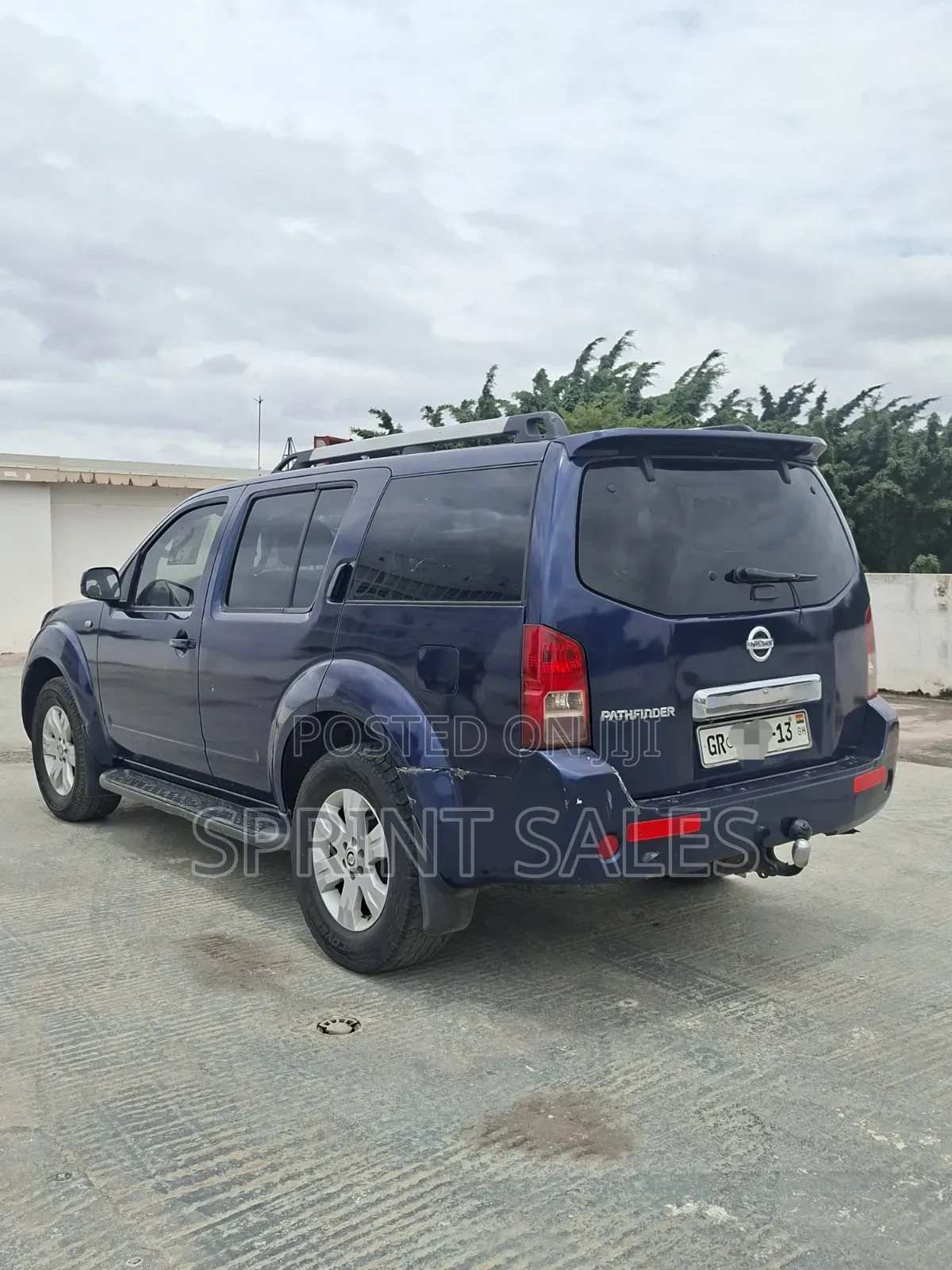 Nissan Pathfinder Automatic 2001 Blue