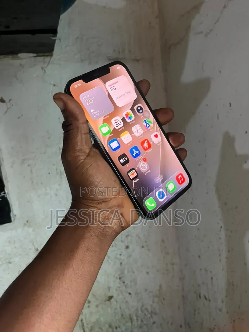Apple iPhone 12 Pro Max 256 GB Blue