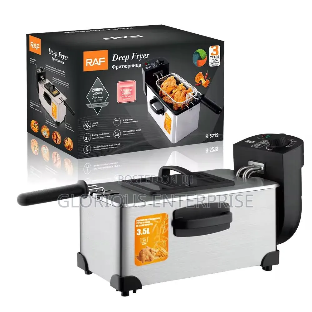 Electric Deep Fryer