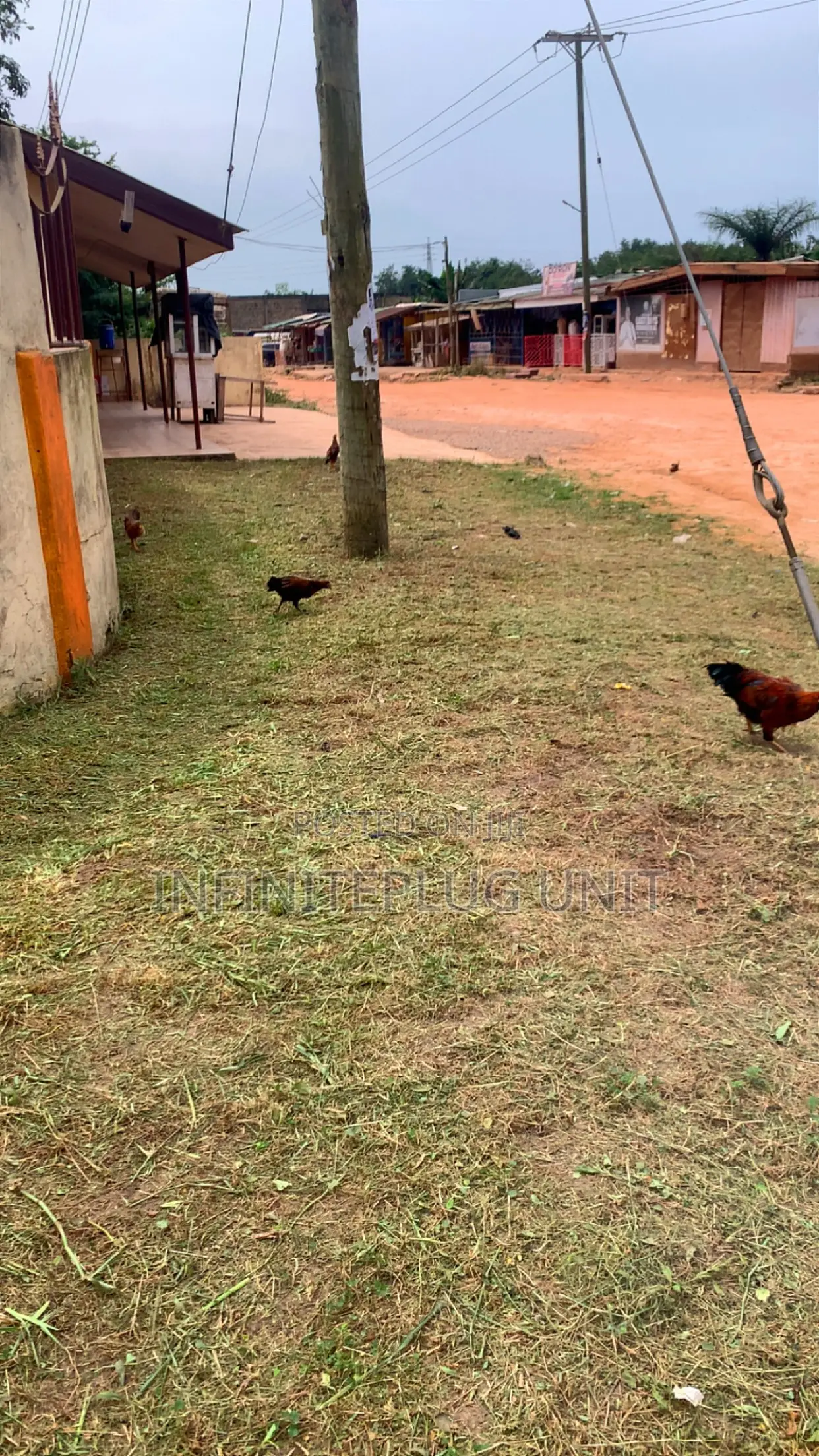 Lawn Care Services