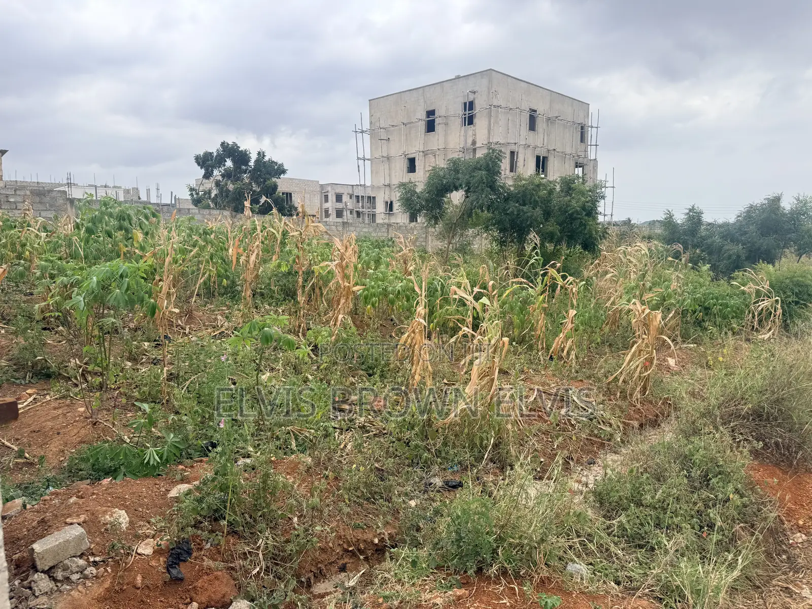 Do You Need a 4 Plots of Land for Sale at Trasacco Springs