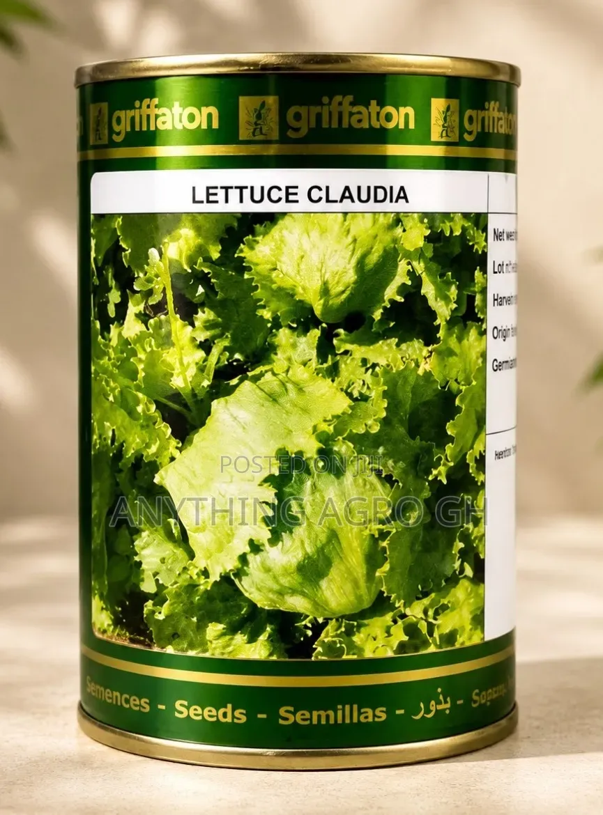 Lettuce Claudia