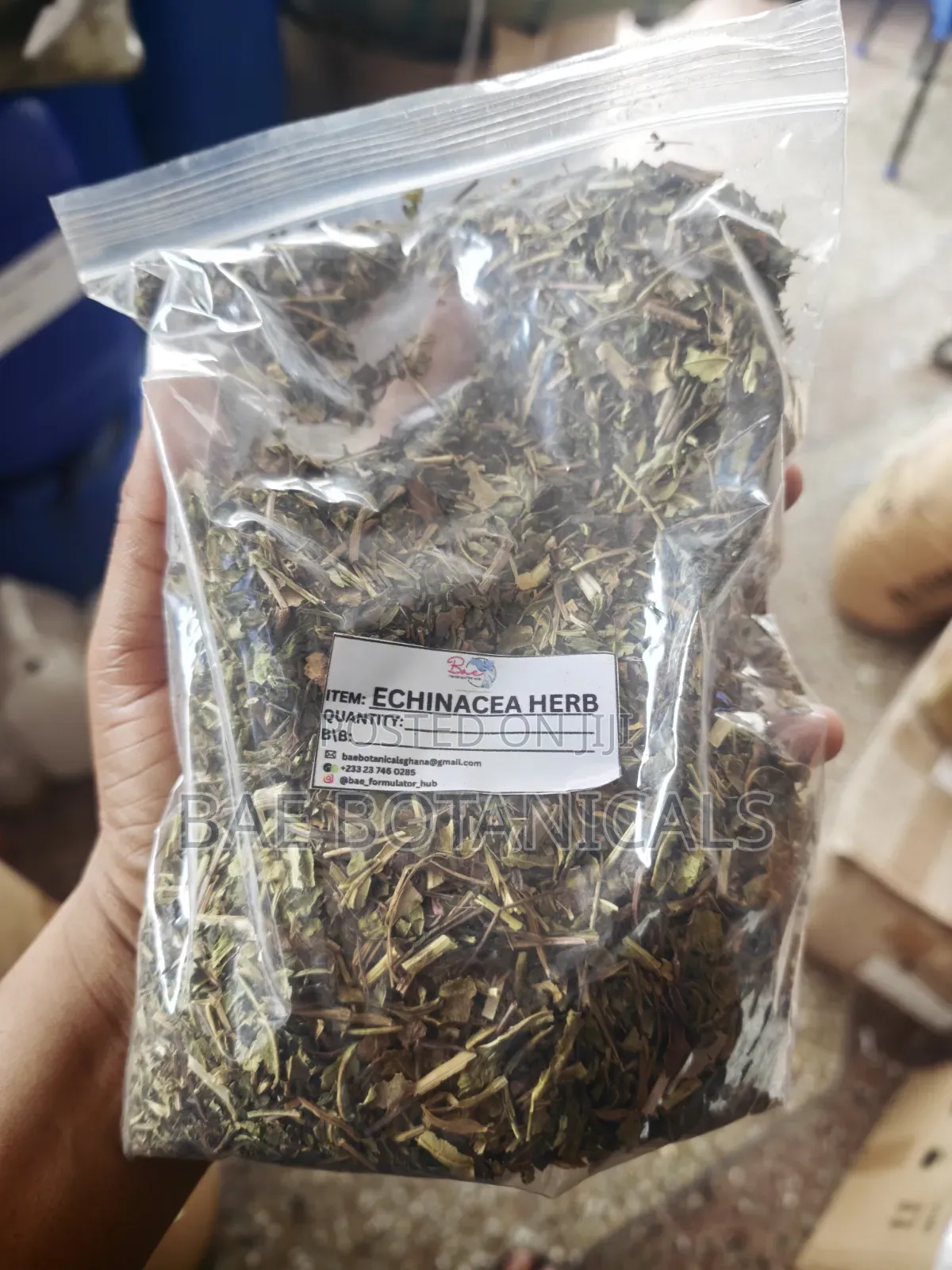 Echinacea Herbs