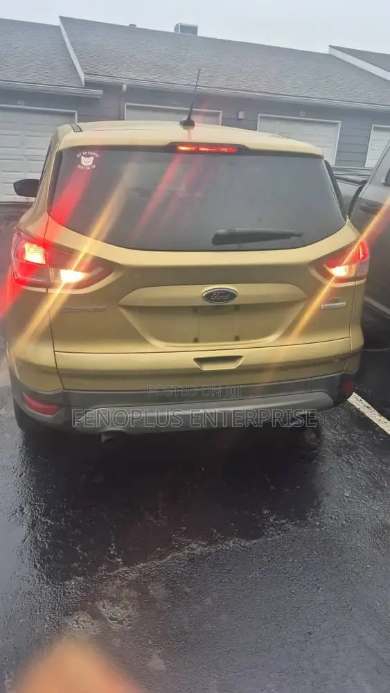 Ford Escape 2014 Gold
