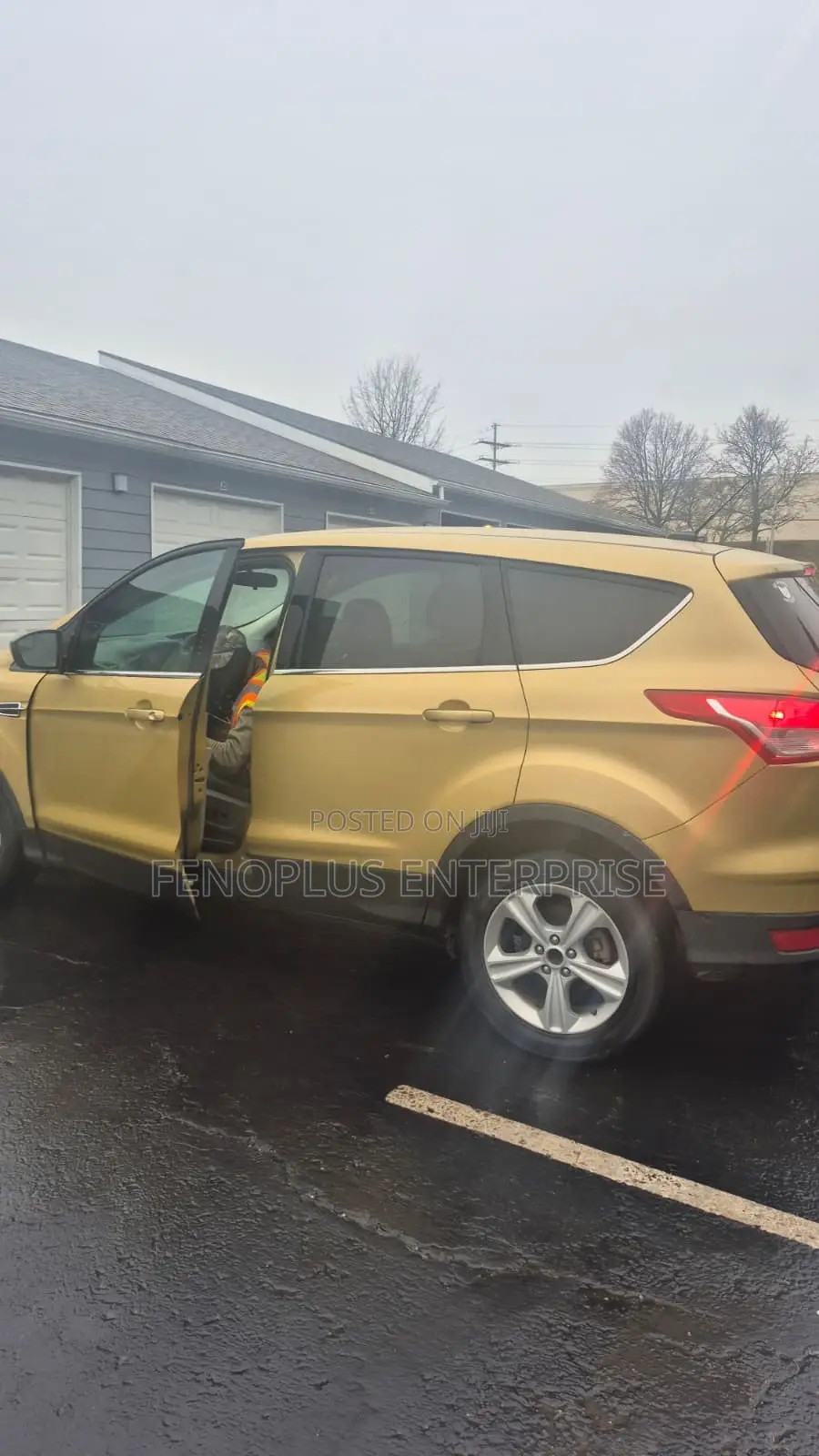 Ford Escape 2014 Gold