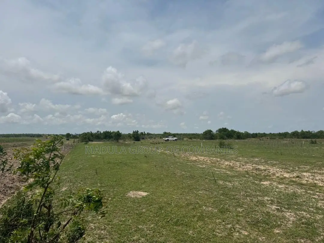 Tired of Fake Lands? Buy Genuine Plot in Sege - Madula