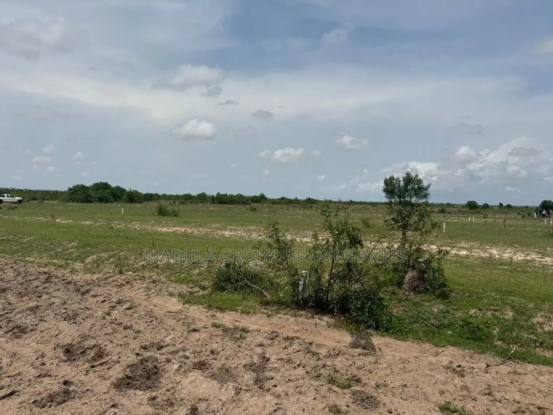 Tired of Fake Lands? Buy Genuine Plot in Sege - Madula