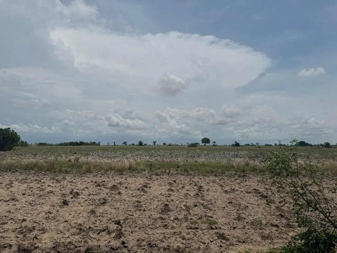 Affordable Land for Sale in Sege