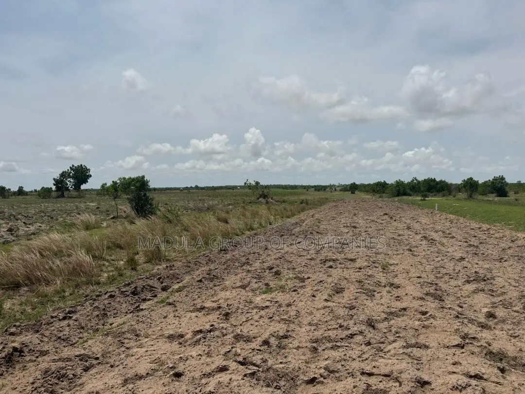 Affordable Land for Sale in Sege