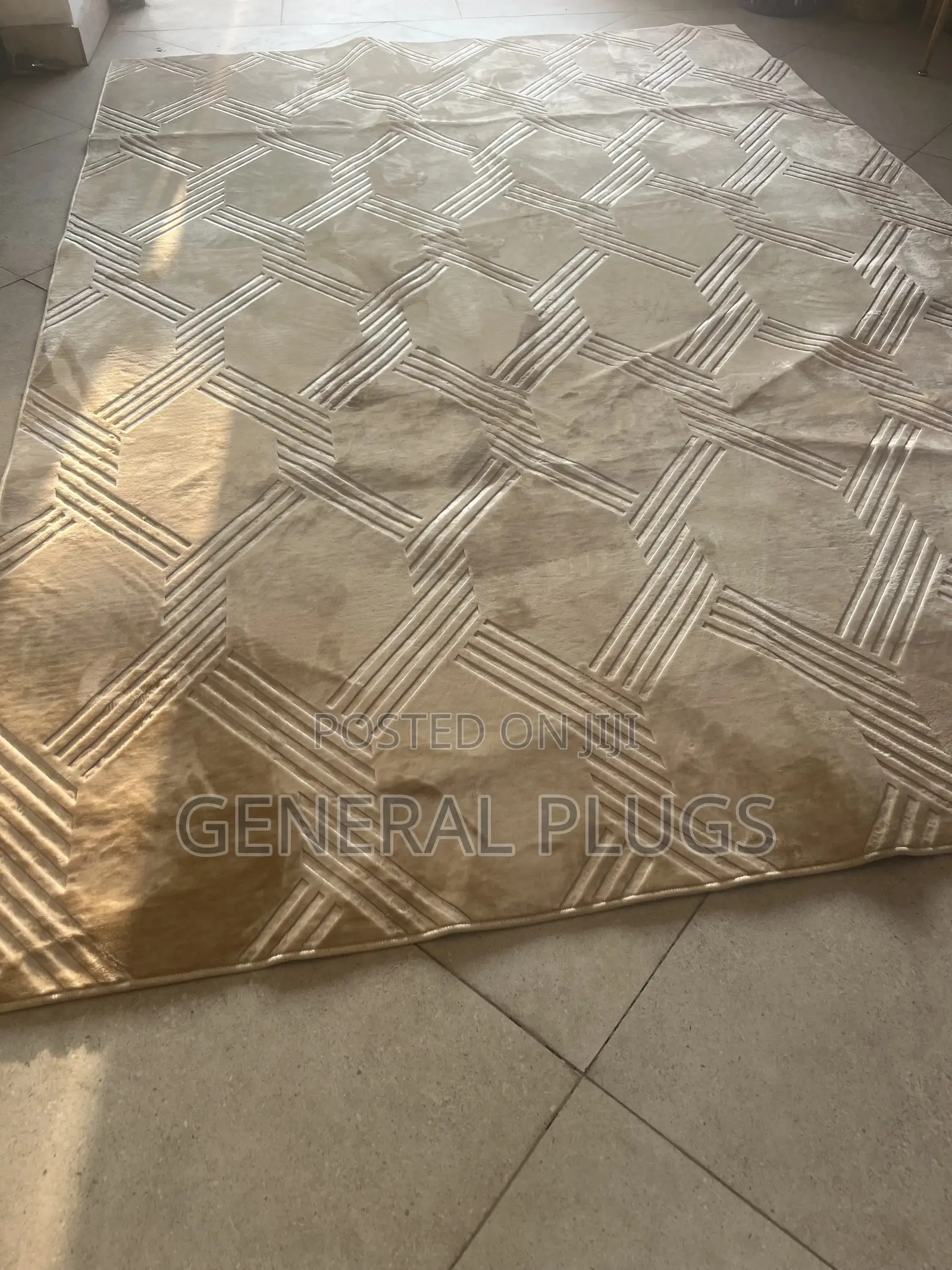 Upgrade Your Living Space :Fluffy Fur Carpet Biggest Size (200x300cm