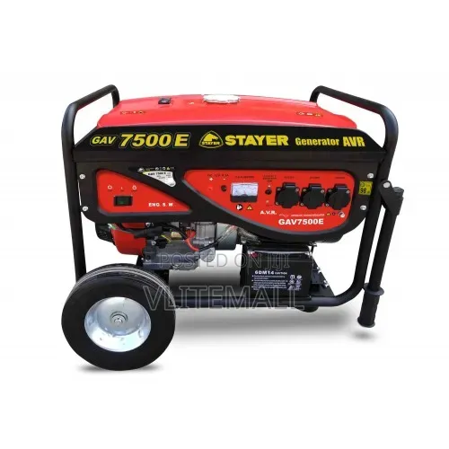 Stayer GAV7500E
Gasoline Generator