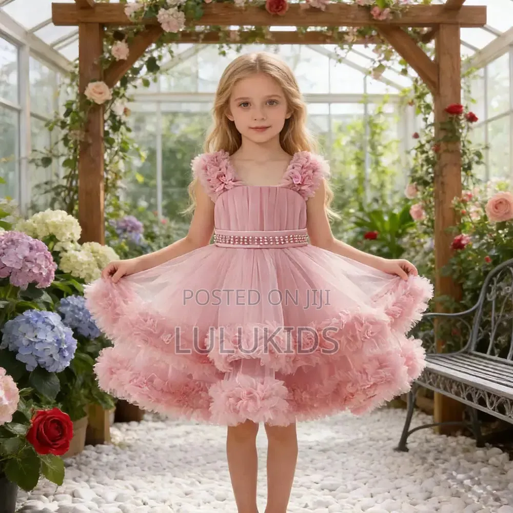 Luxury Princess Dress