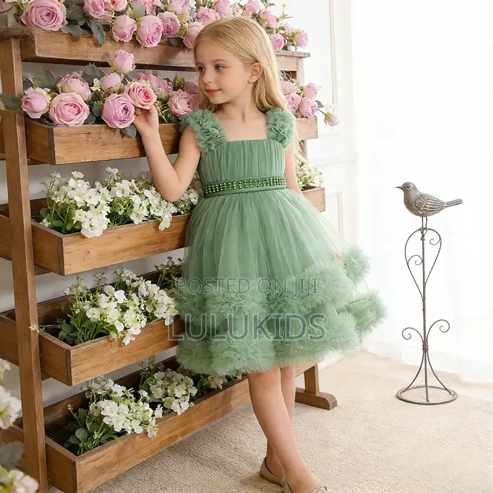 Luxury Princess Dress