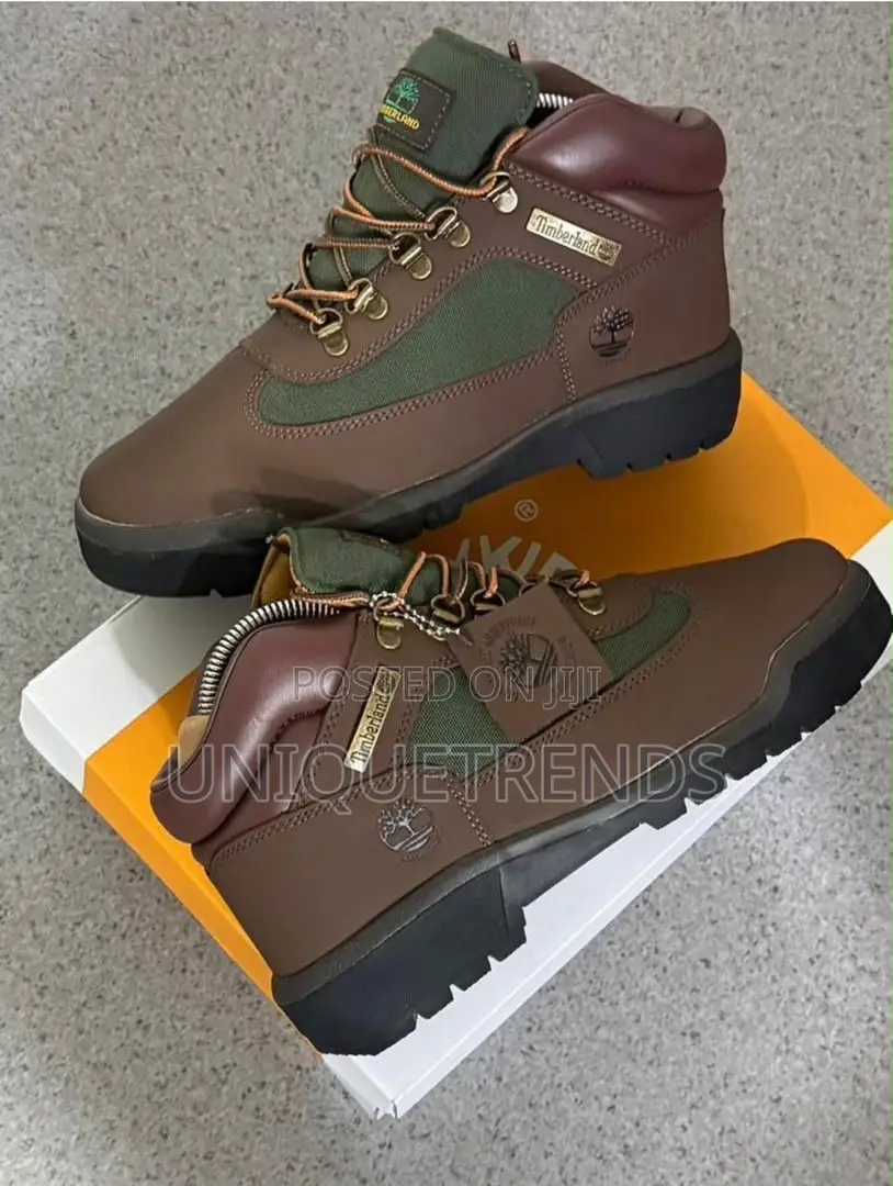 TIMBERLAND Men's Waterproof Field Boots (Dark Brown)