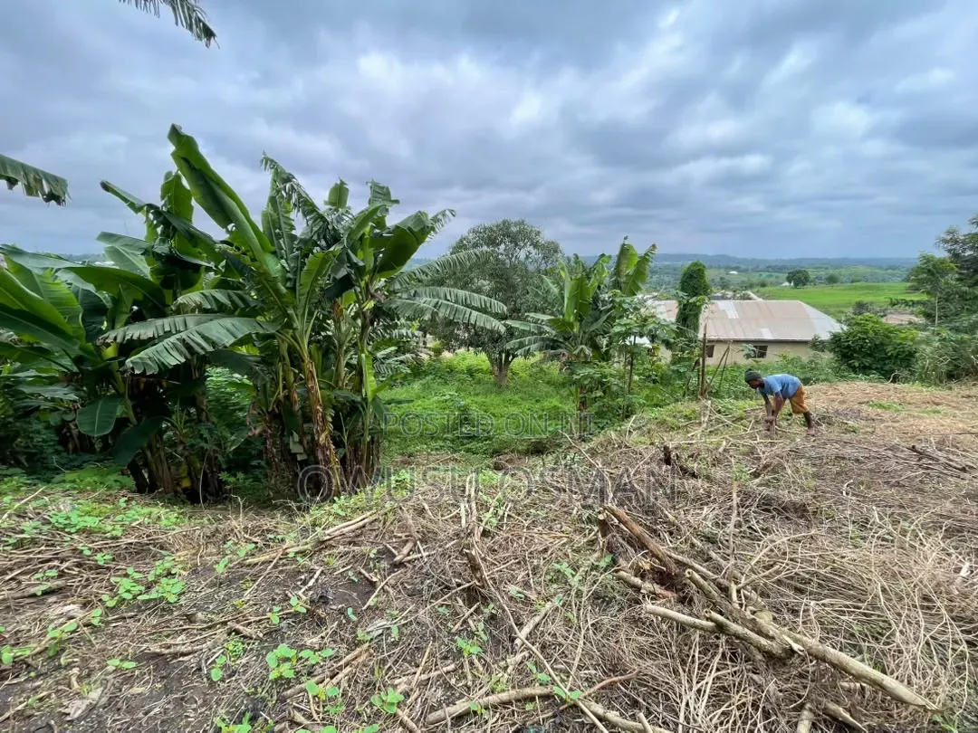 One Plot of Land for Sale