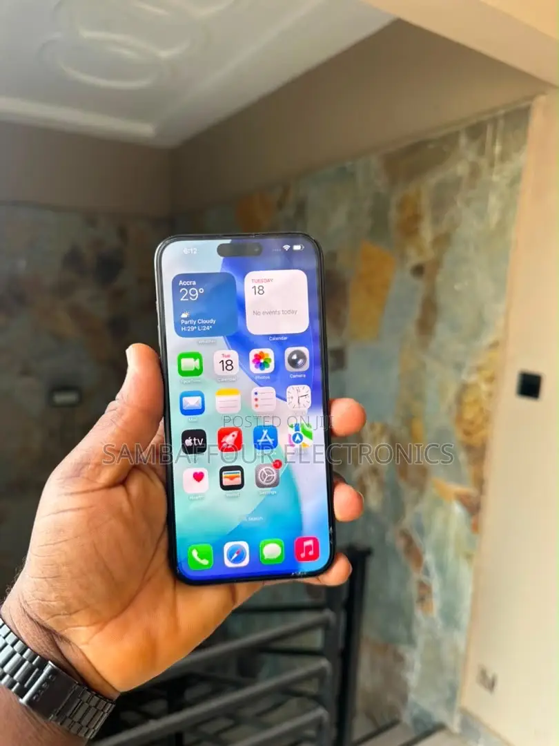 Apple iPhone 15 Pro Max 256 GB Black