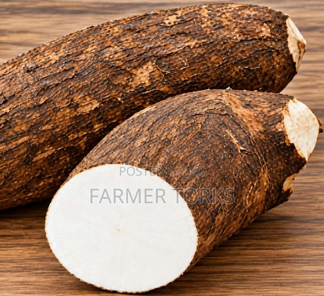 Yam Tuber Fresh