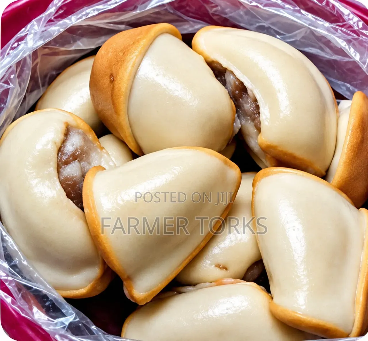 Oyster (Adode)