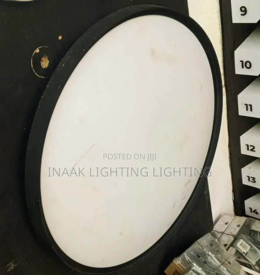 Modern Round Black Frame LED Flush Ceiling Light