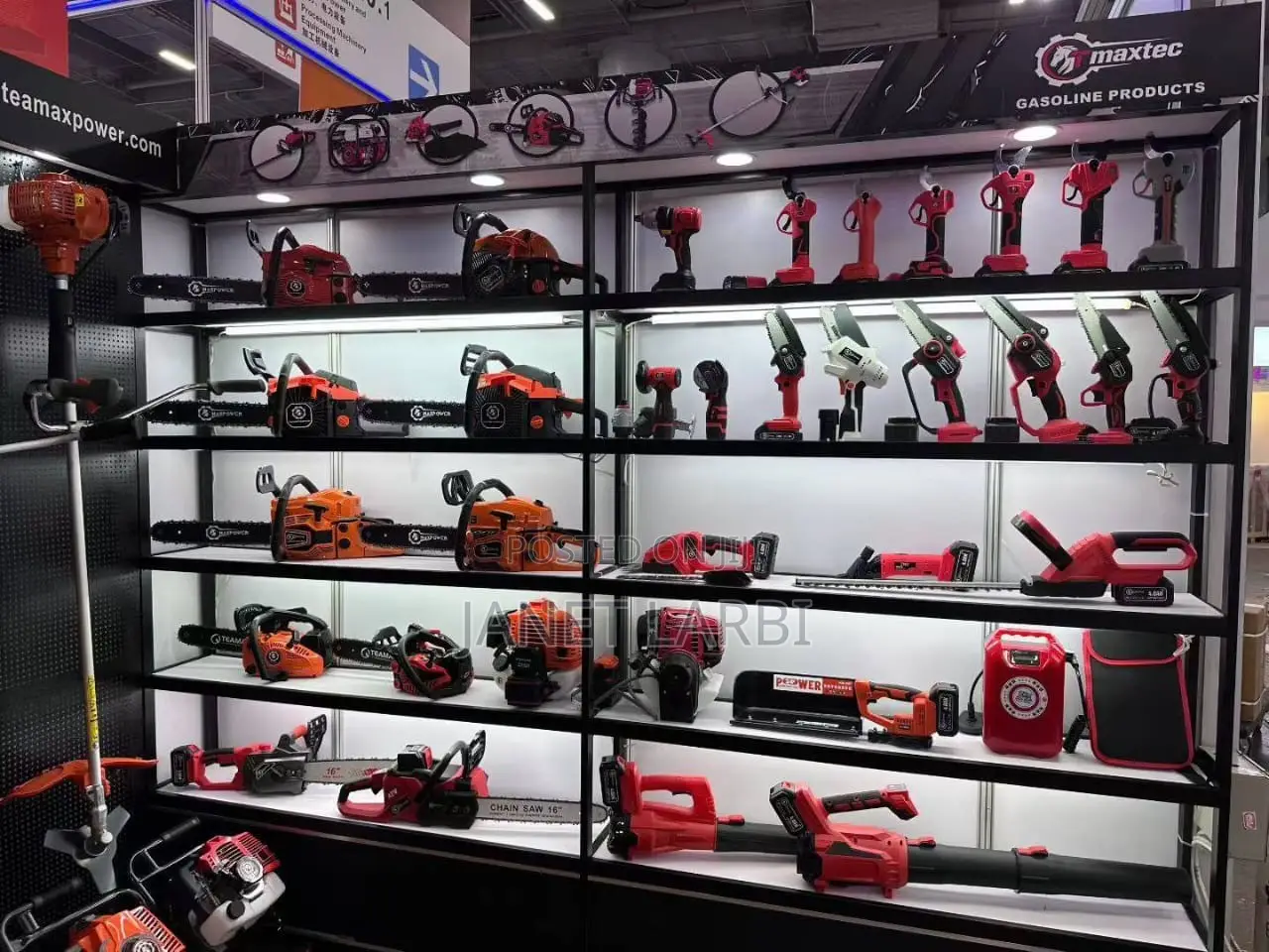 Gasoline Chain Saw