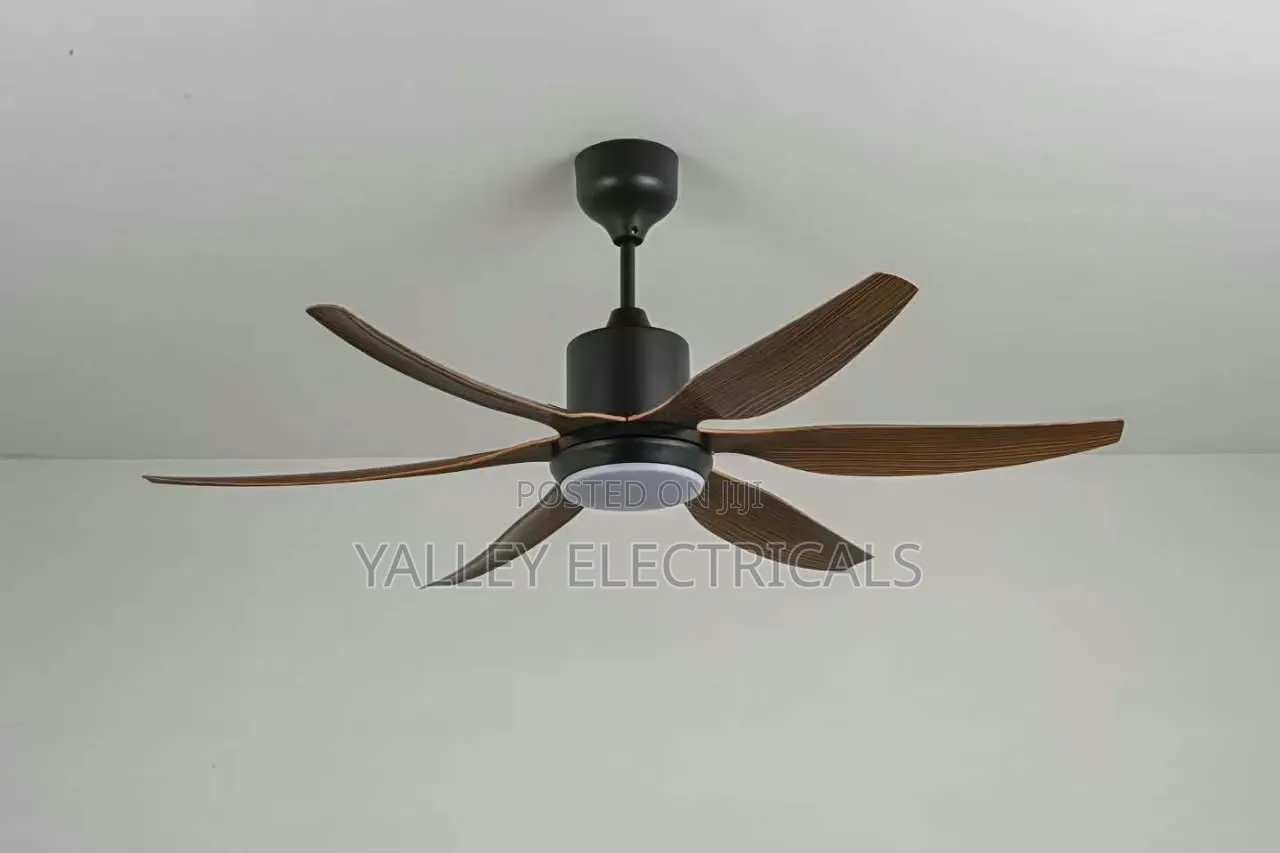 Luxury Ceiling Fan Wood