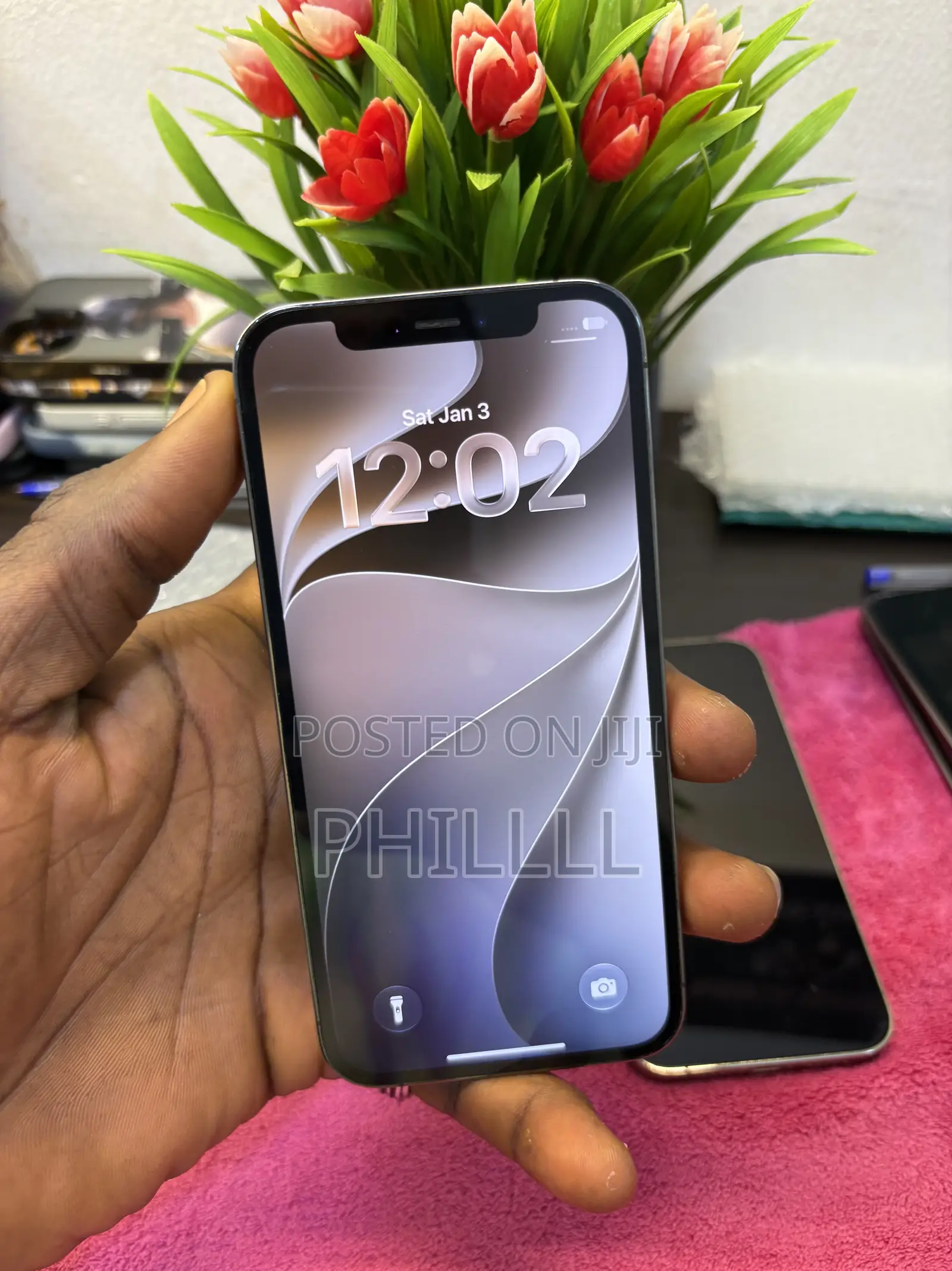 Apple iPhone 12 Pro 256 GB Gray