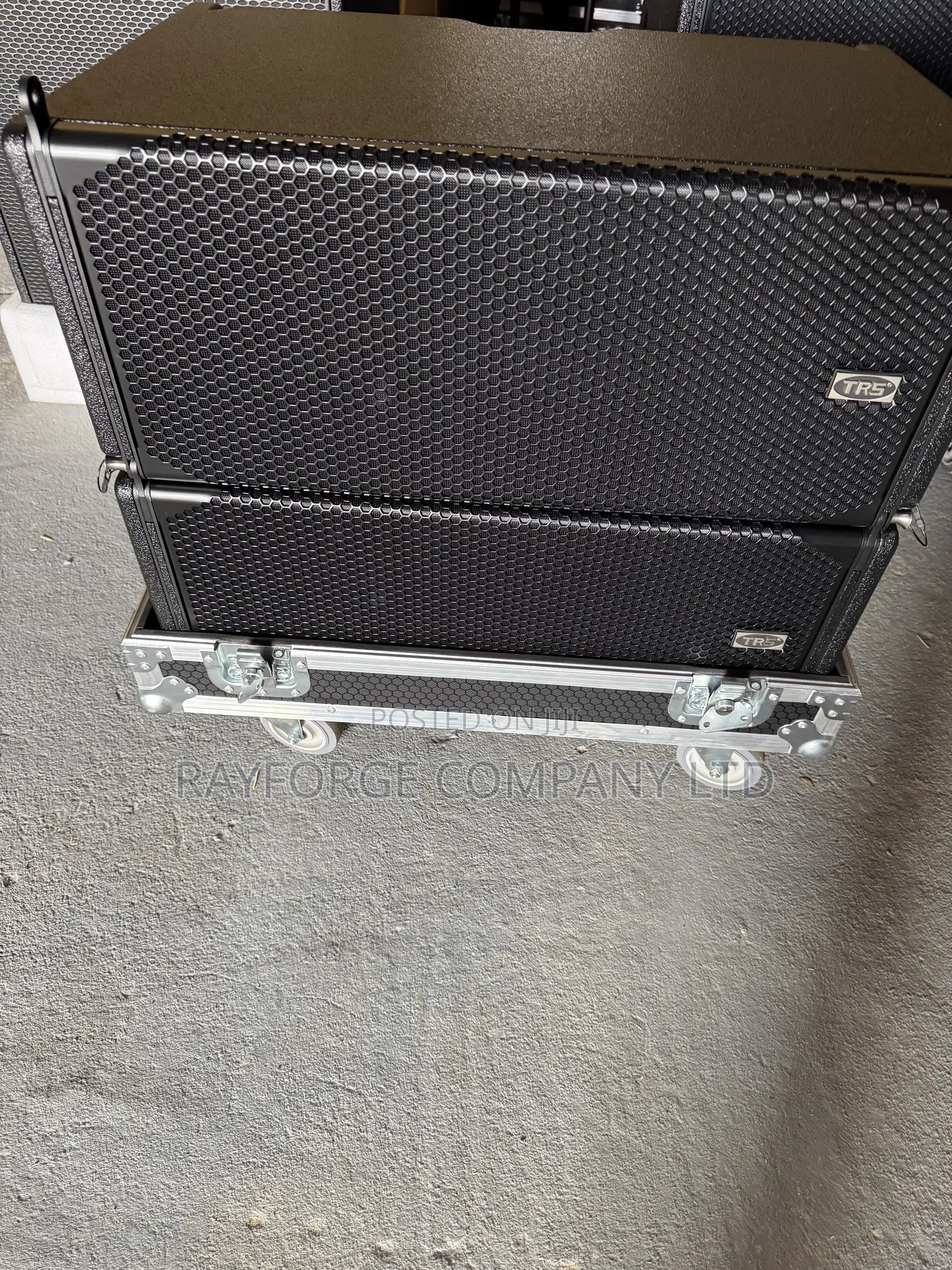 Dual 10-Inch Waterproof Linear Array