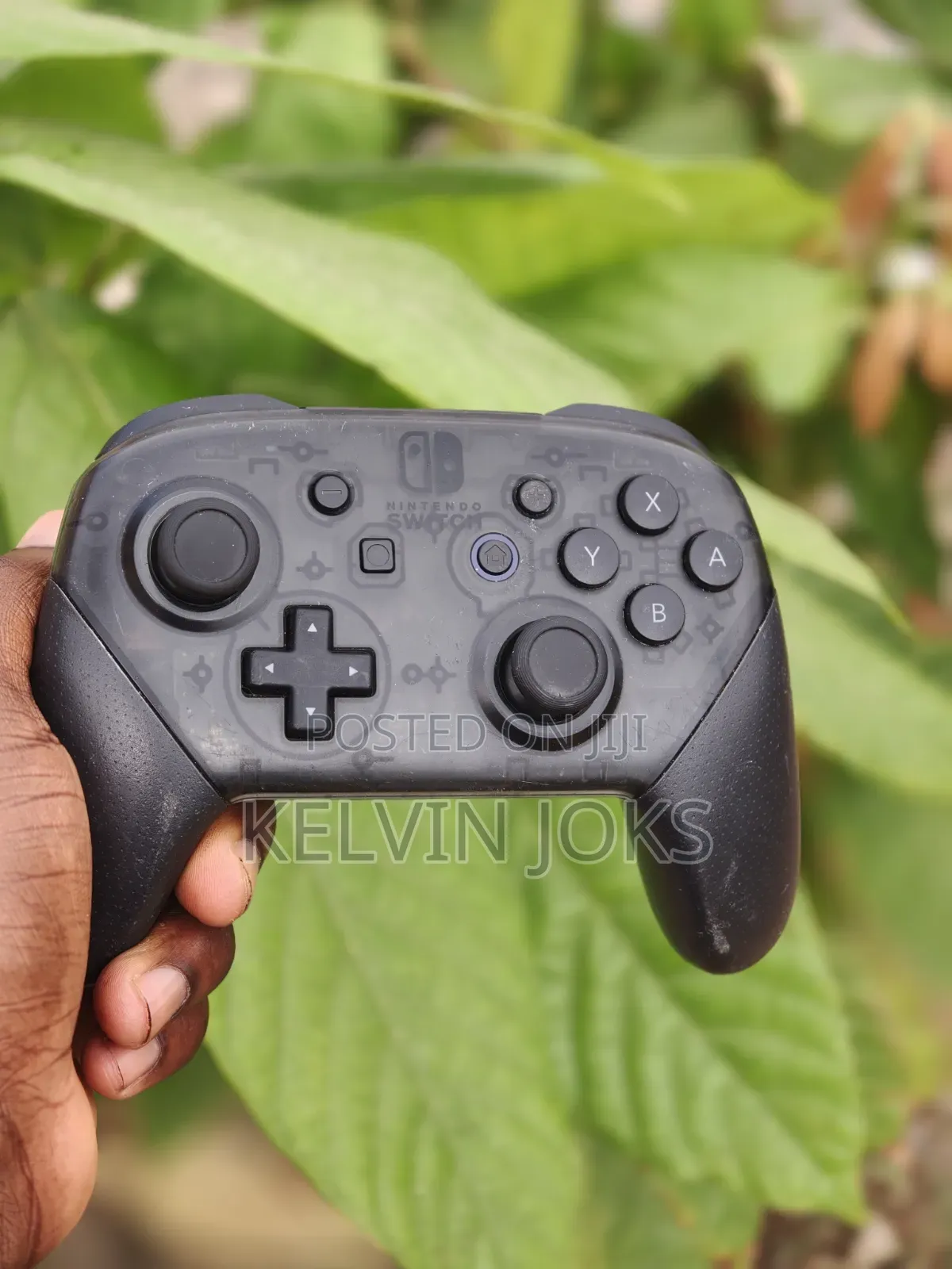 Nintendo Switch Pro Controller