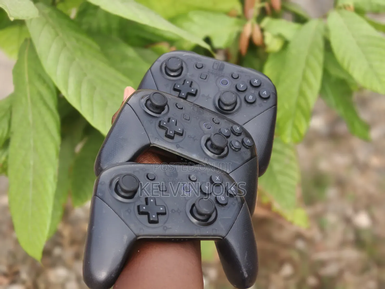 Nintendo Switch Pro Controller