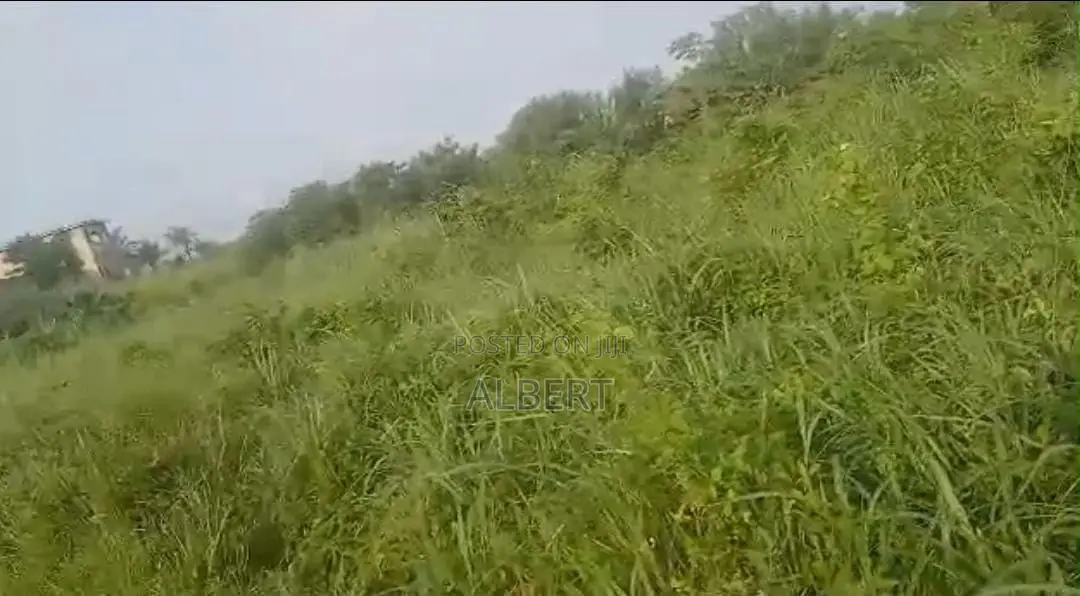Land 4 Sale