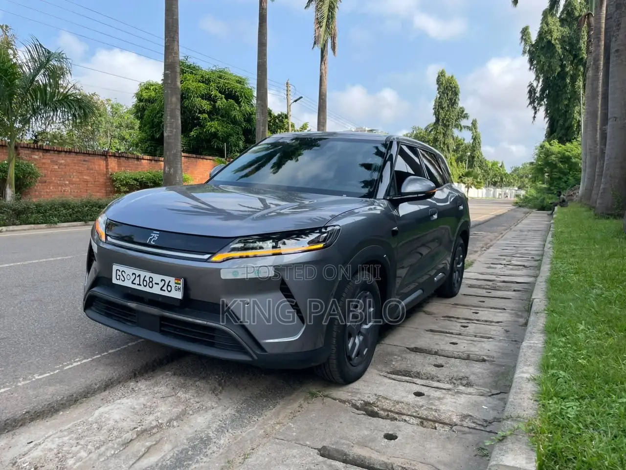 Electric Car for Rentals