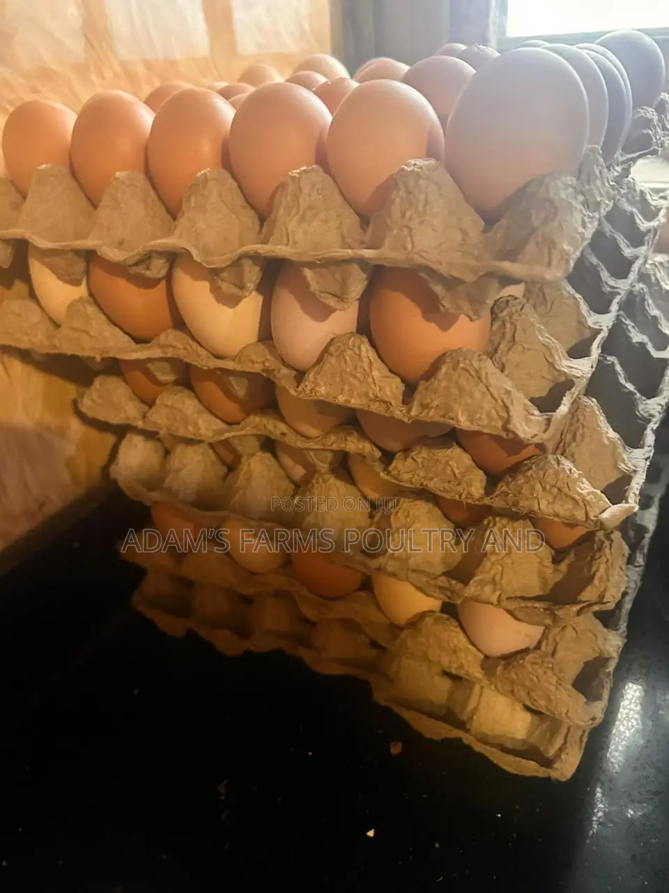 Chicken Table Eggs