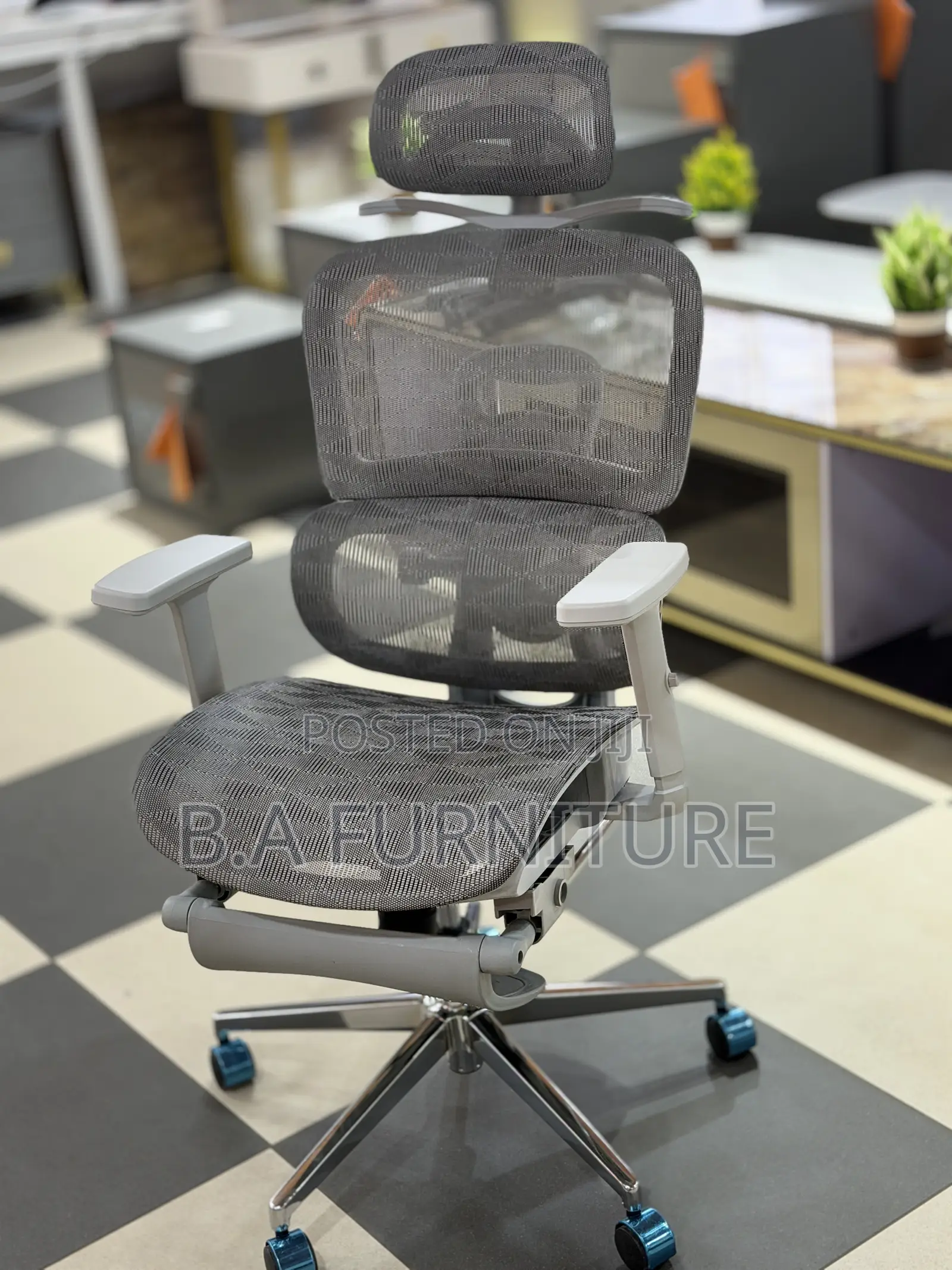 Orthopedic Net Chair With Recliner