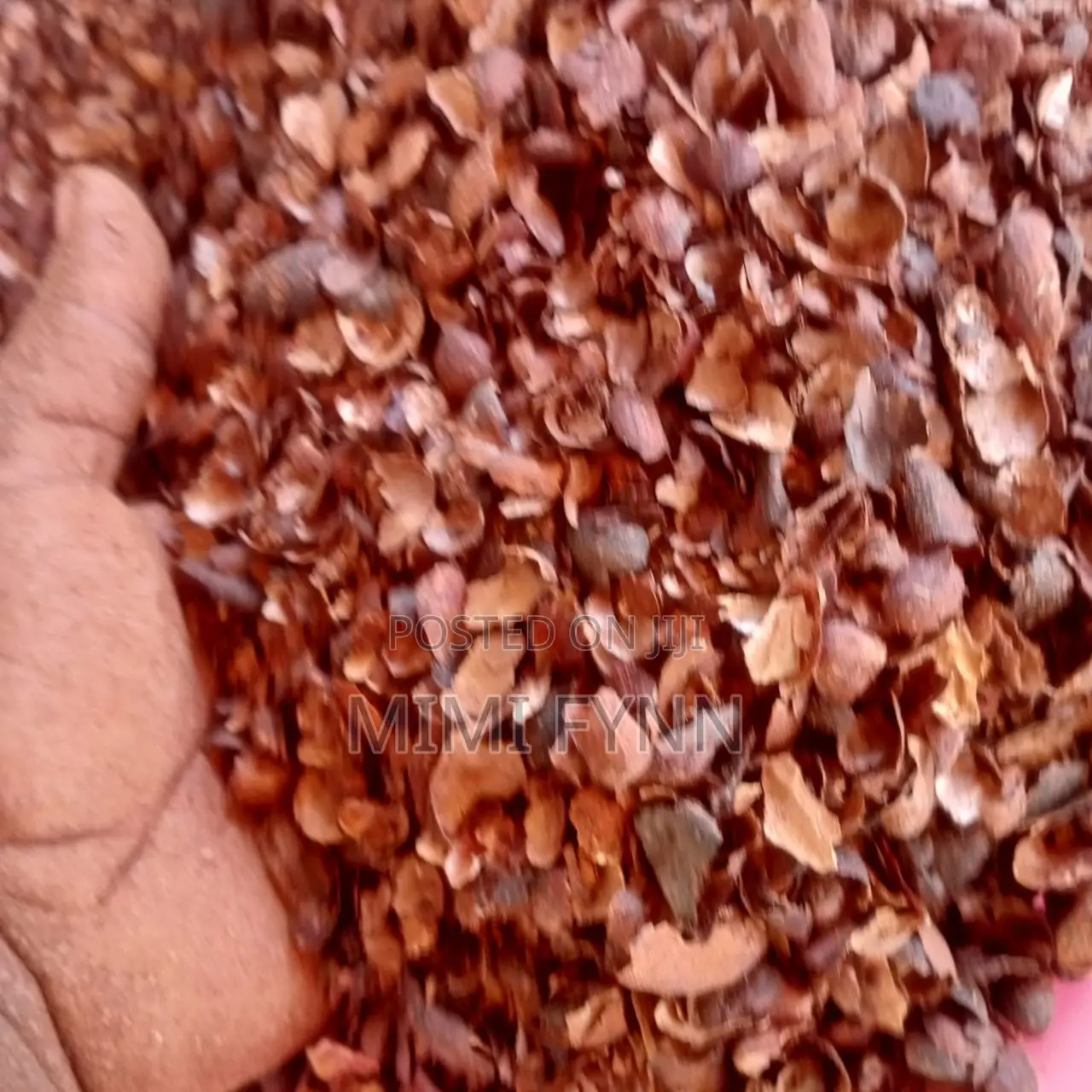 Cocoa Shells