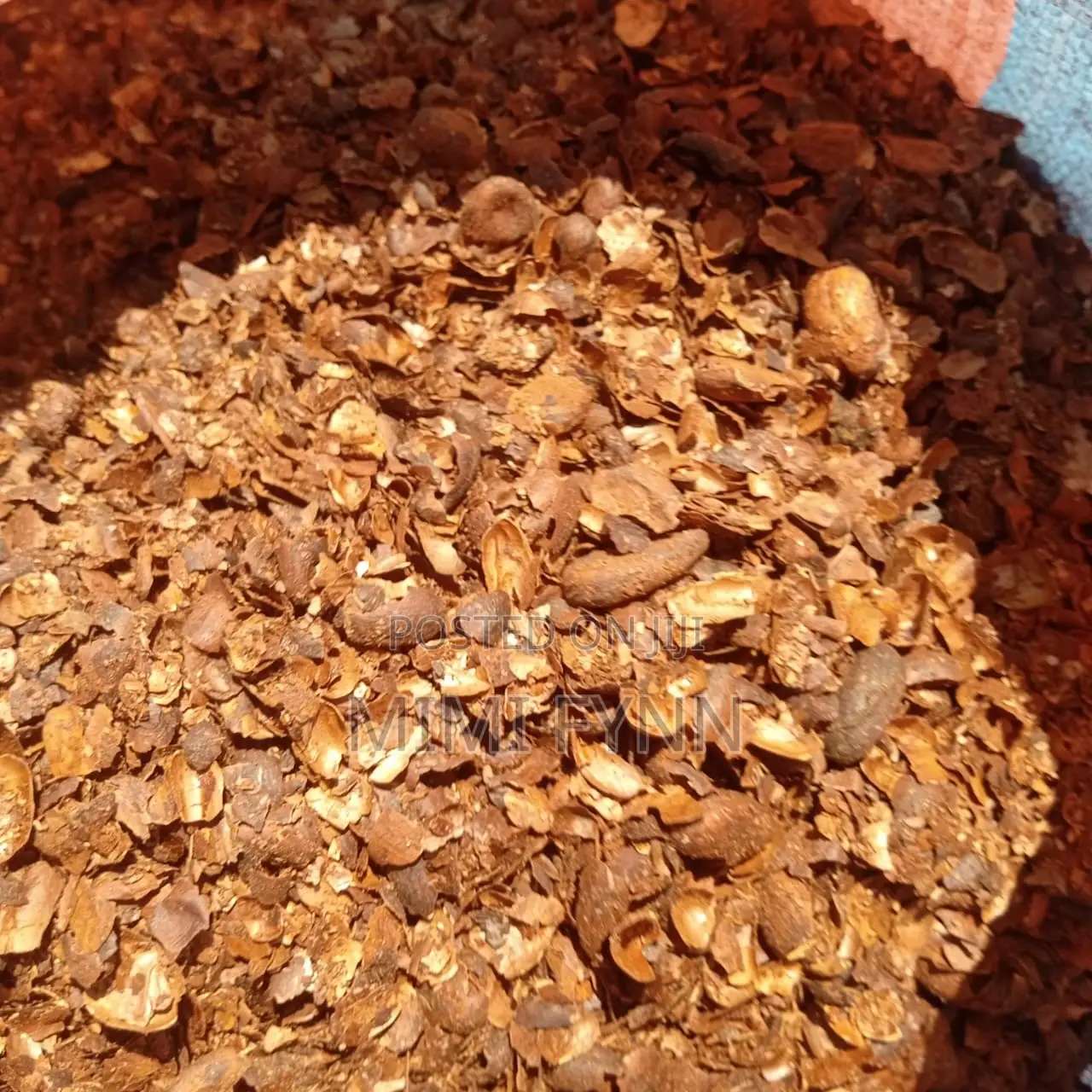 Cocoa Shells