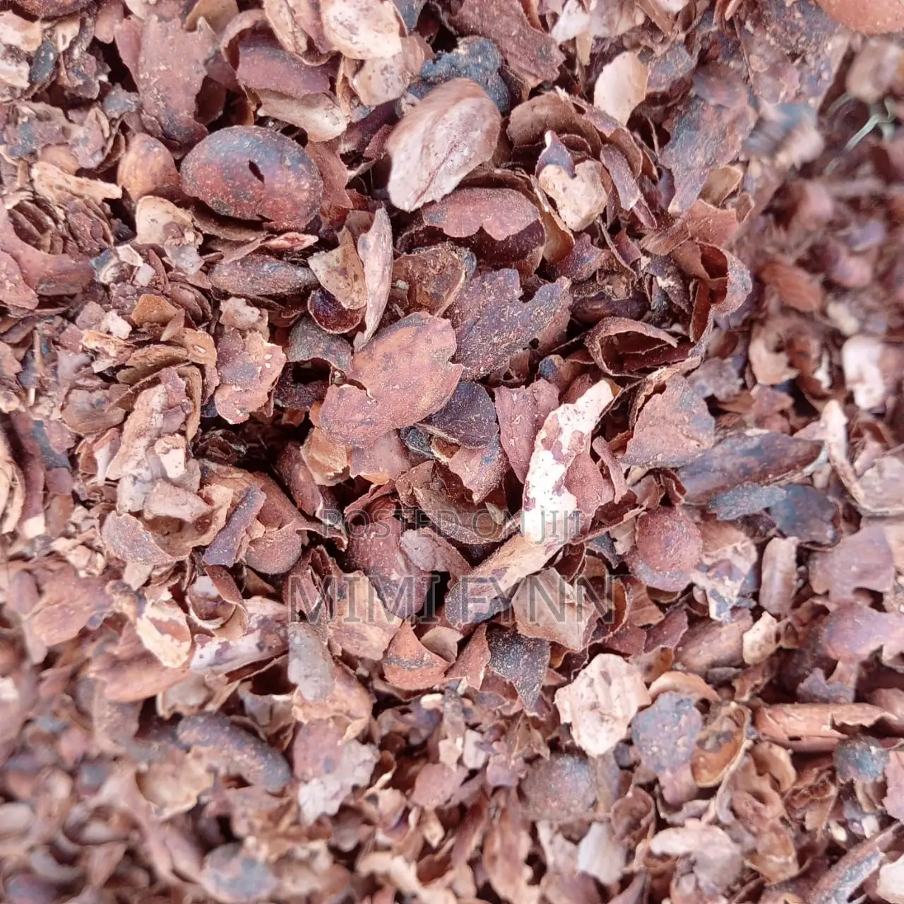 Cocoa Shells
