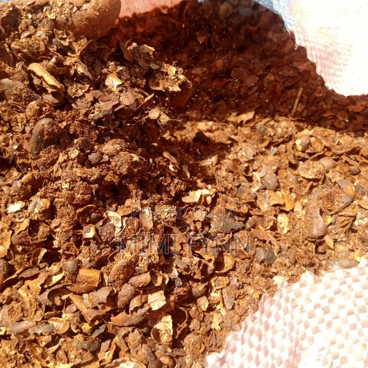 Cocoa Shells