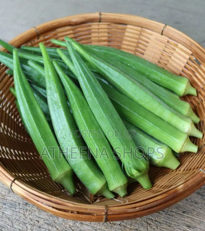 Vegetable Seeds for Planting
