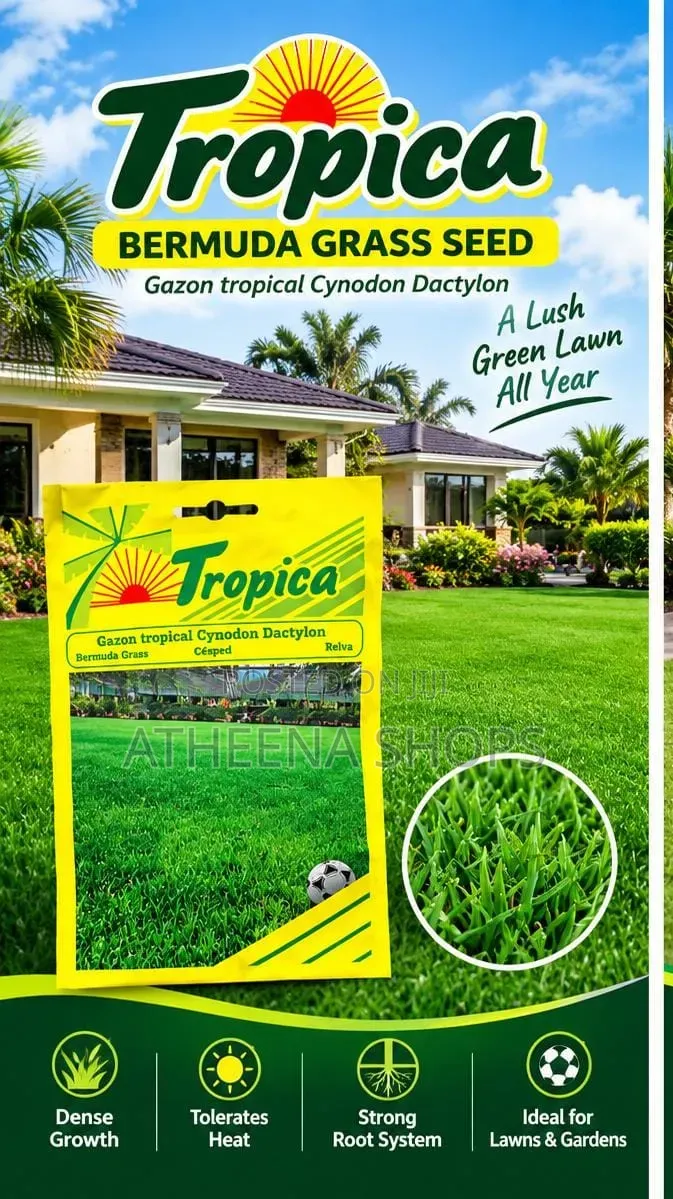 Carpet Grass Seeds