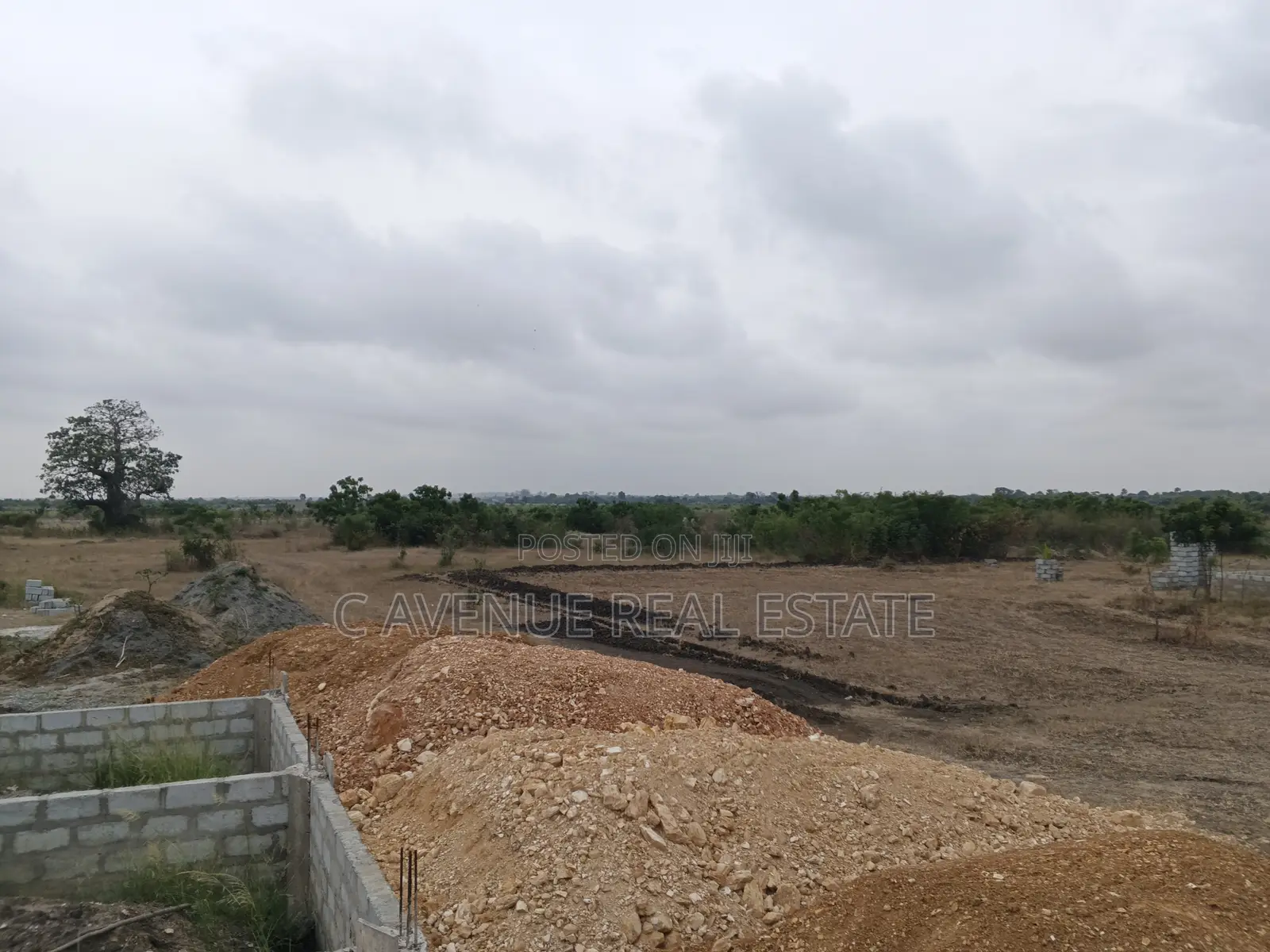 Smart Investment: Shai Hills Half Plot