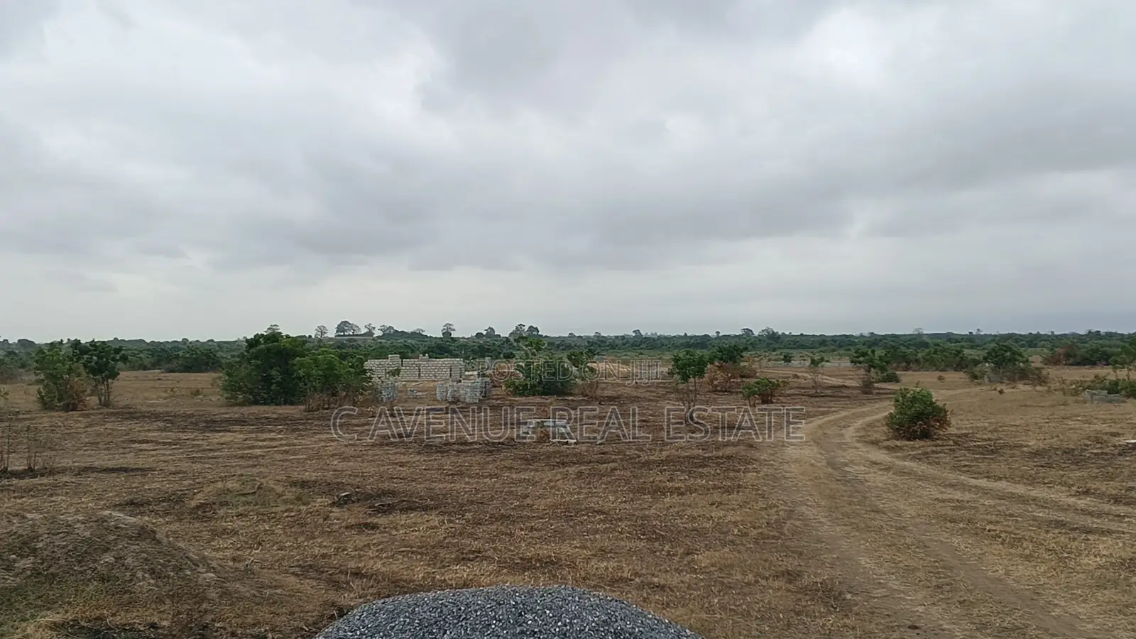 Prime Full Plot for Sale in Shai Hills