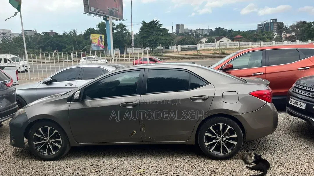 Toyota Corolla XSE (1.8L 4cyl 2A) 2019 Gray