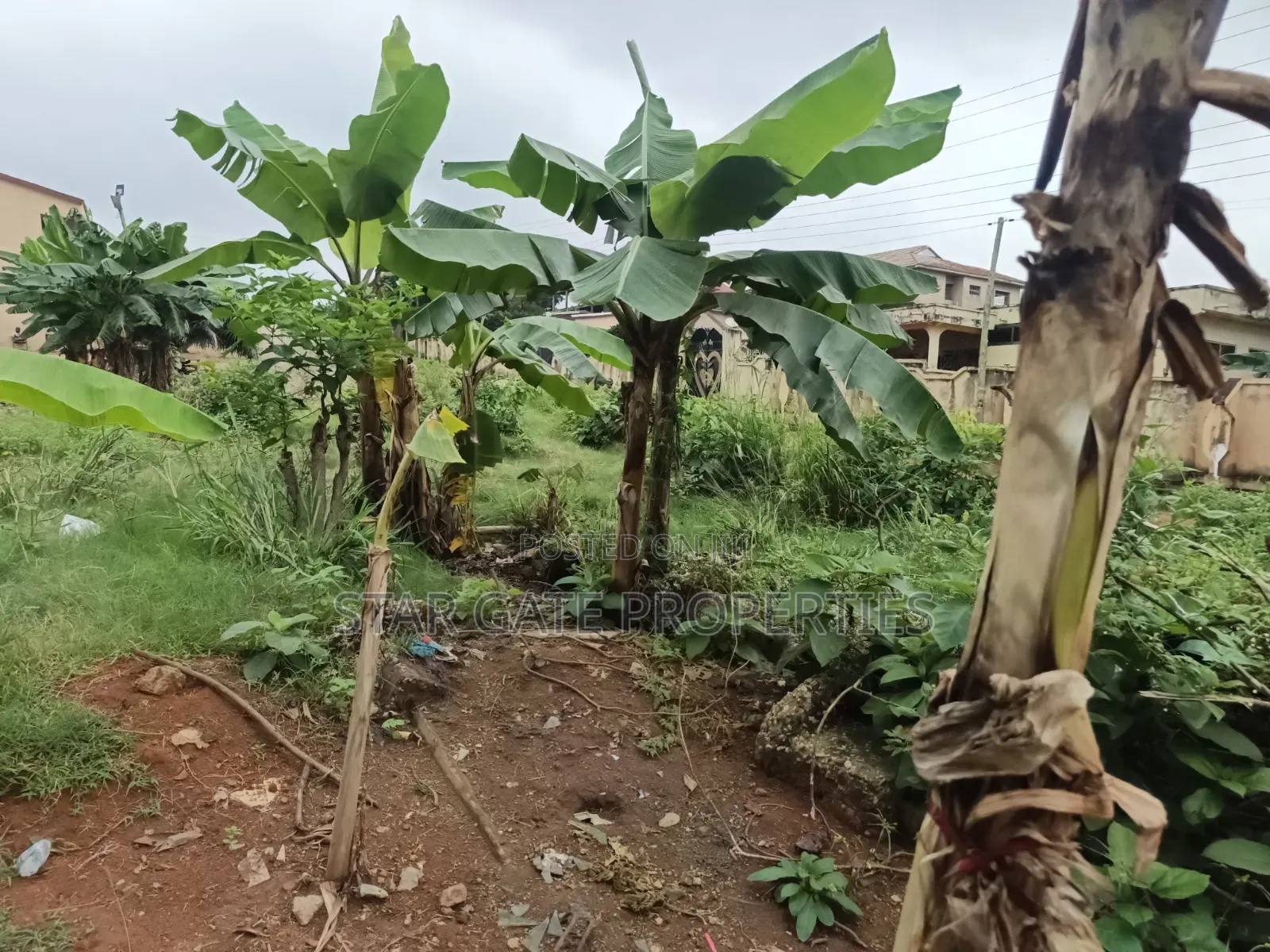 Plot for Sale Near Buokrom Estate Junction