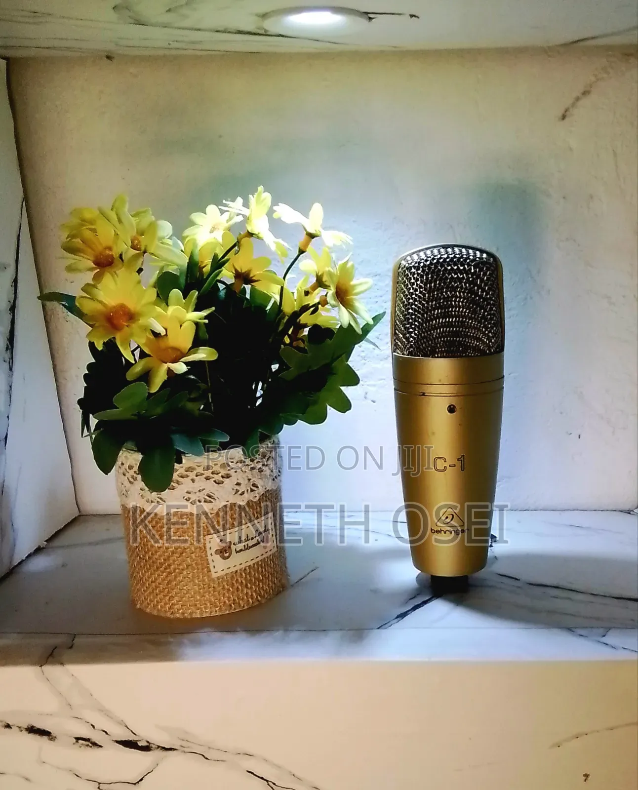 Behringer C-1 Studio XLR Microphone