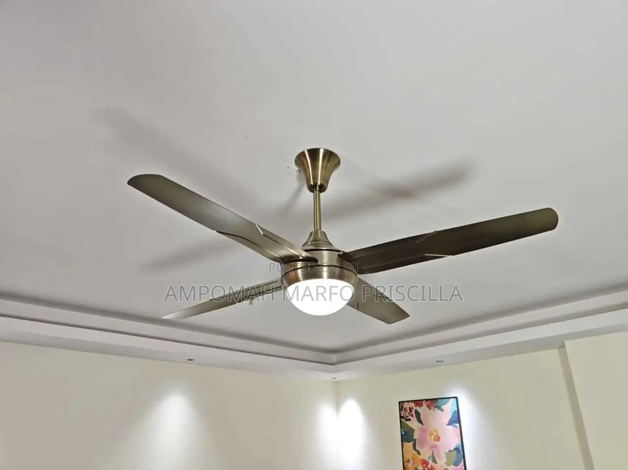 Metallic Art Ceiling Fan With Light & Remote Control