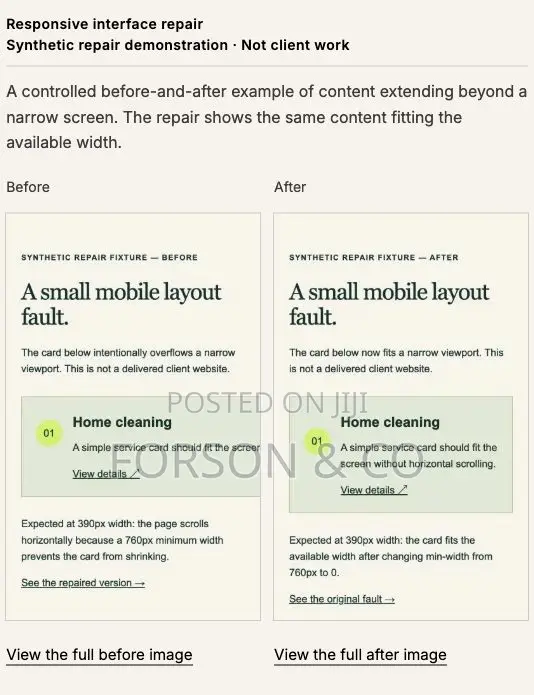 Fix or Complete Your Existing Web App