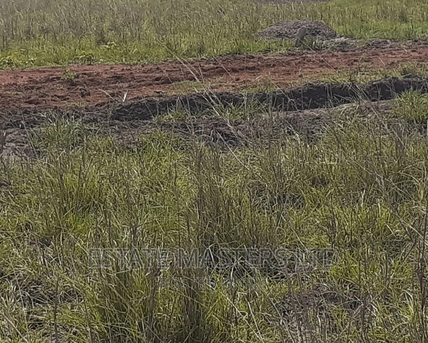 Lucrative Area Land