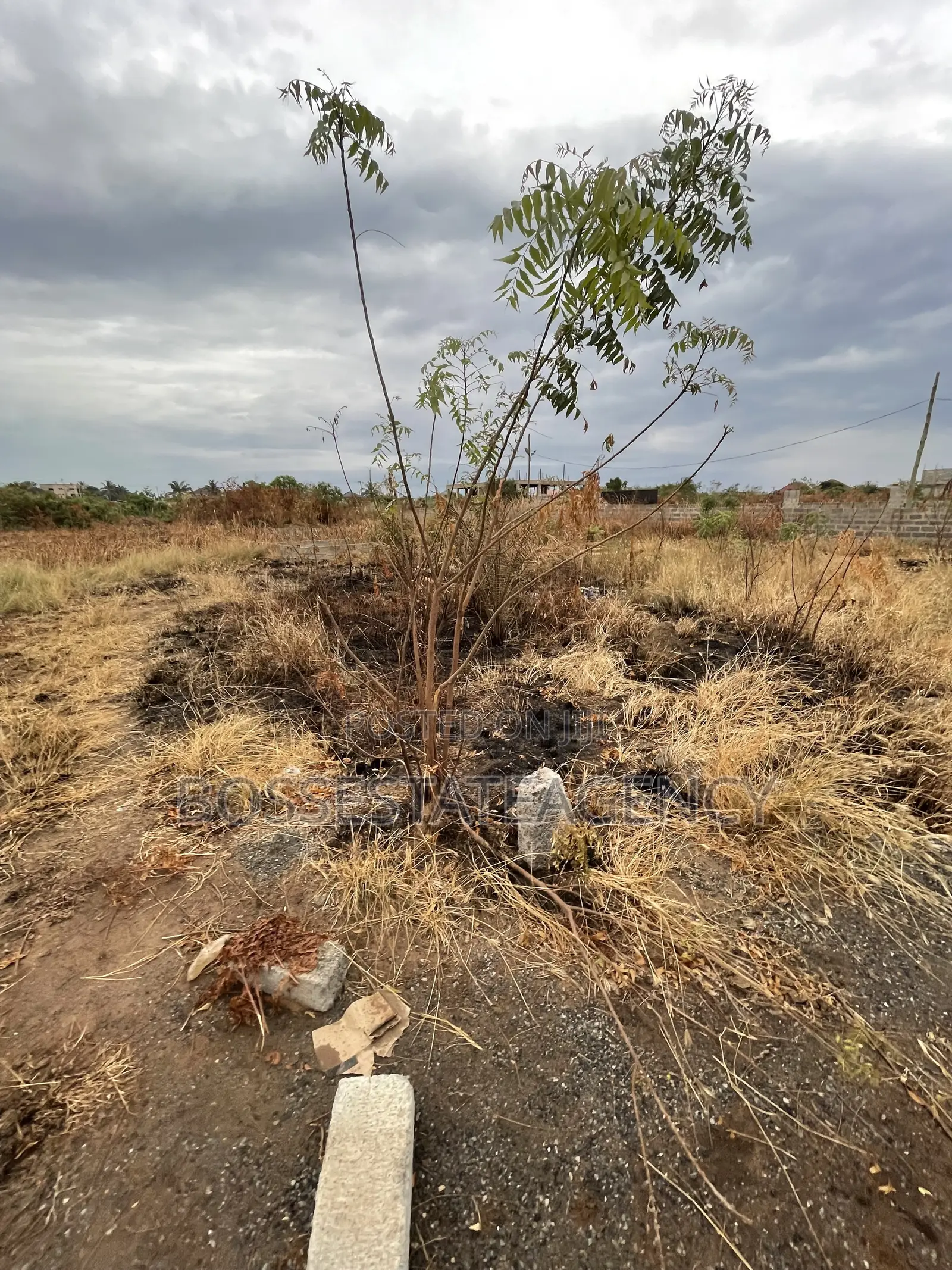 Genuine Plot of Land Going Out for Sale Very Close to Road Side