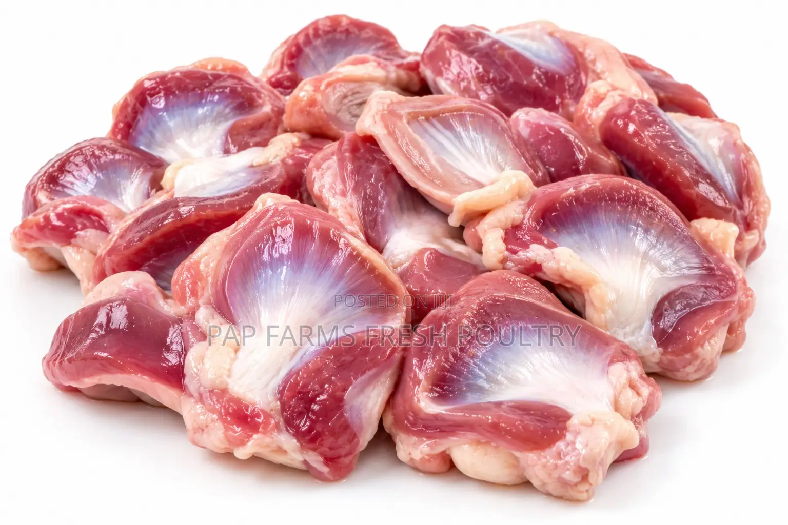 Freshly Processed Chicken Gizzard